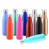 17oz Stainless Steel Water Bottle